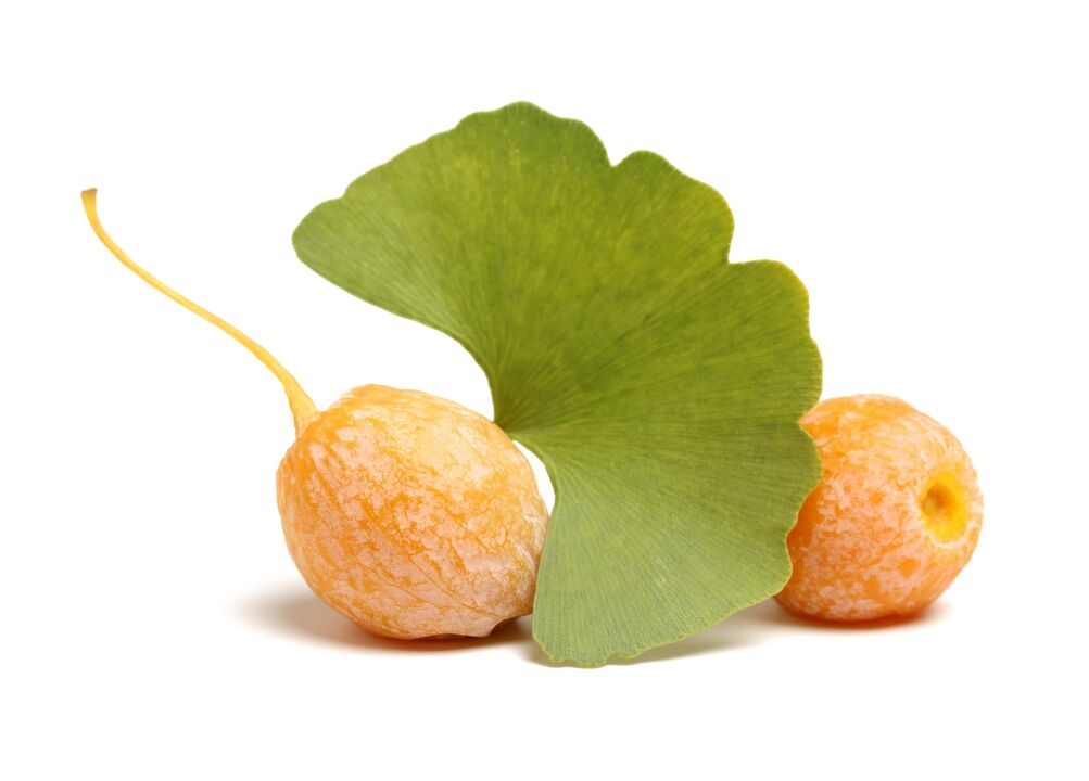 Ginkgo Biloba em Erectil