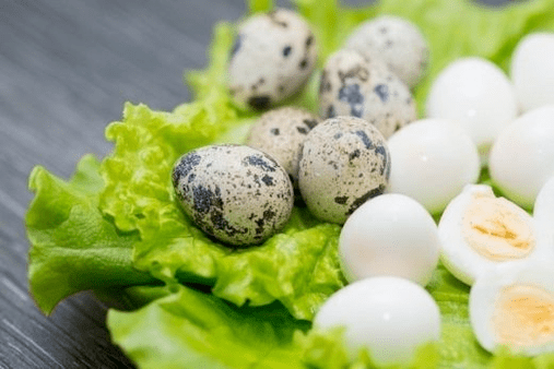 ovos de codorna para potência